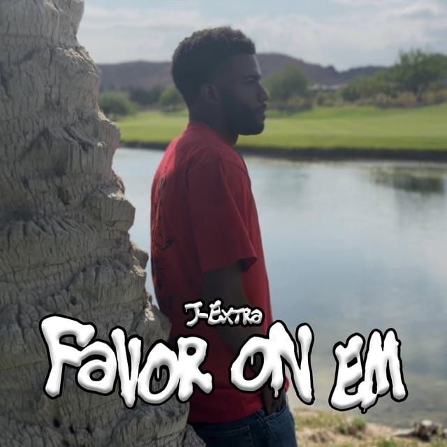 Favor On Em - Single