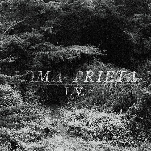 I.V.
