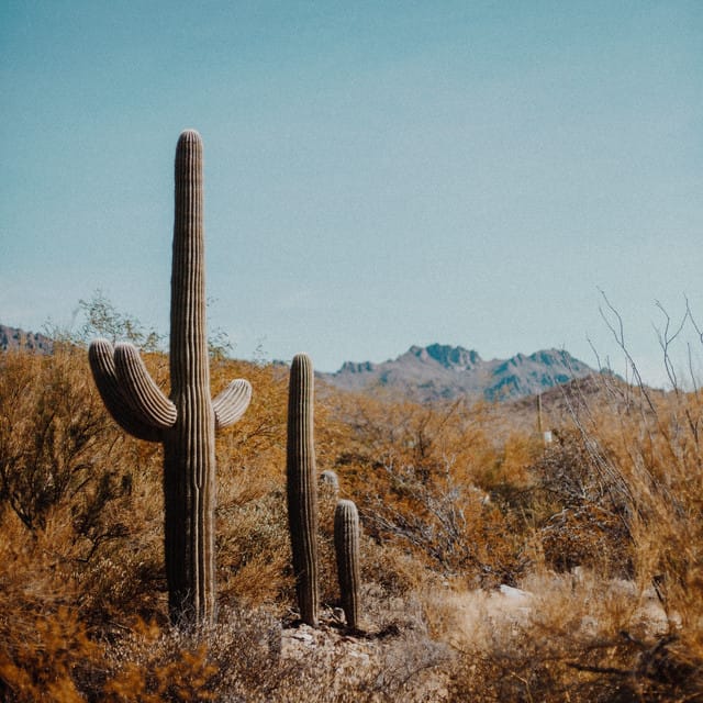 Santa Fe