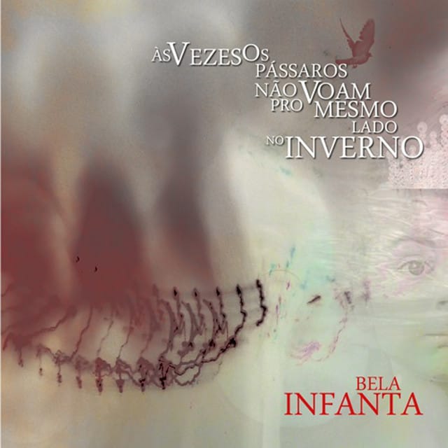 Às Vezes os Pássaros Não Voam para o Mesmo Lado no Inverno