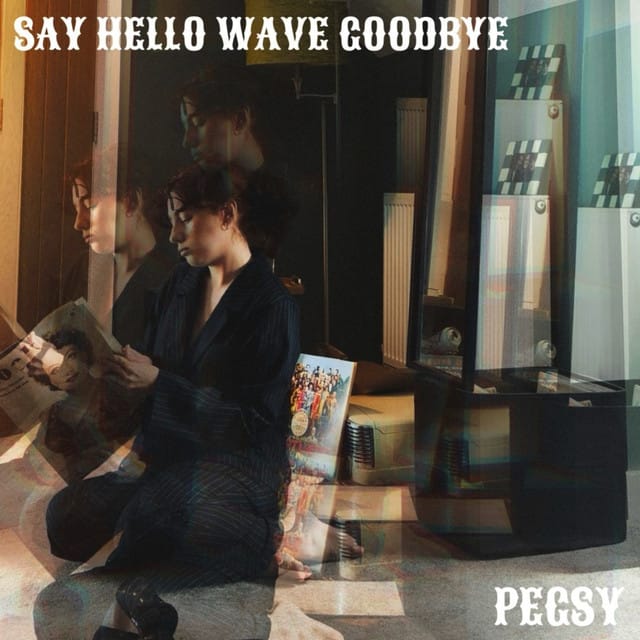 Say Hello, Wave Goodbye - Single