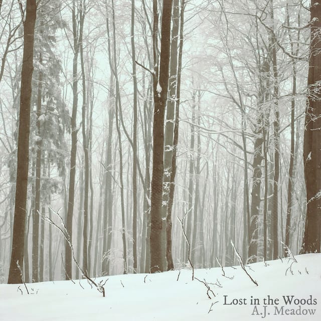 Lost in the Woods - Single