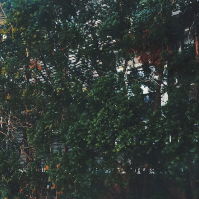 as long as you need me - Single