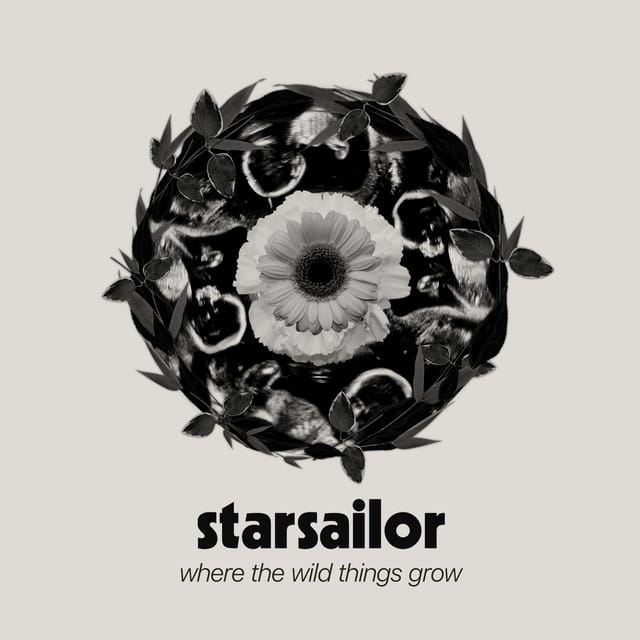 Where the Wild Things Grow