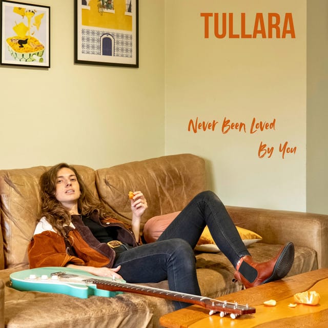 Never Been Loved By You - Single
