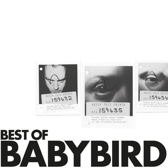 Best of Babybird