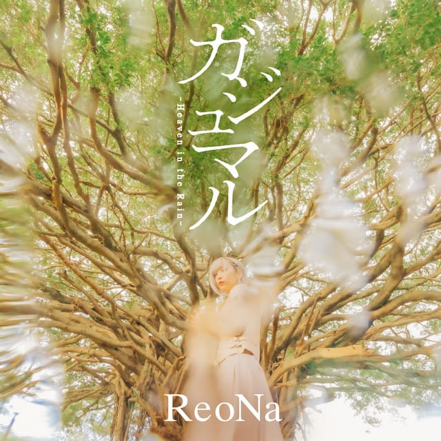 ガジュマル 〜Heaven in the Rain〜