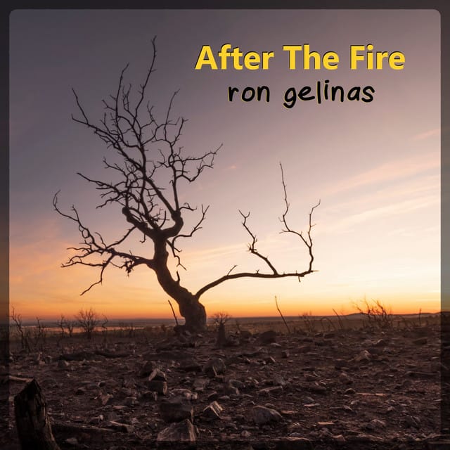 After the Fire - Single