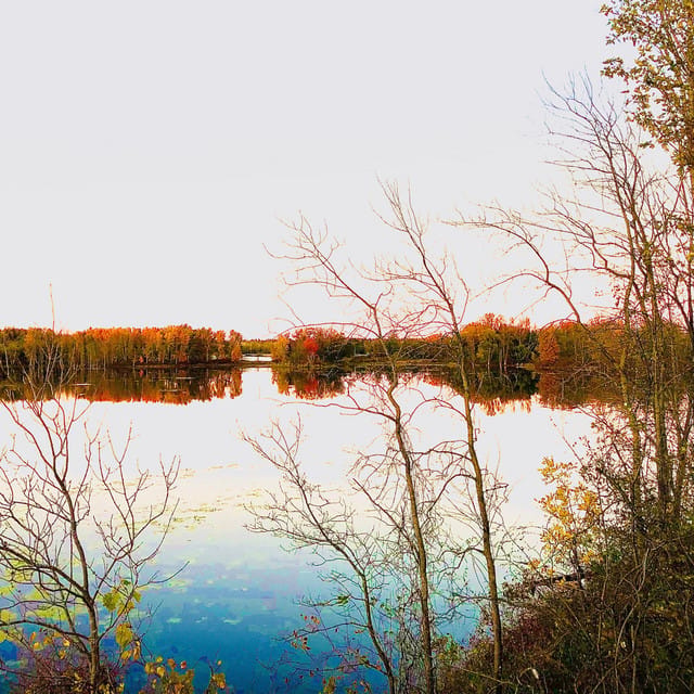 By the Lake (Custom Love Song) - Single