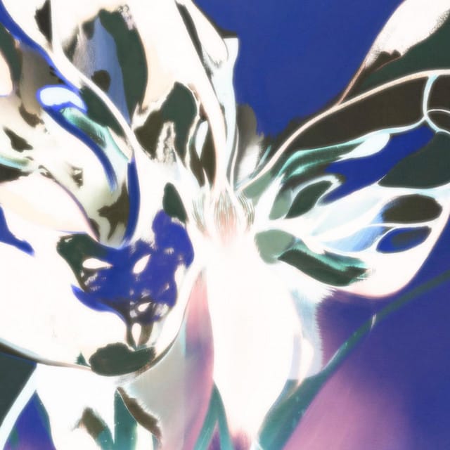 Chrysalis (Deluxe Edition)