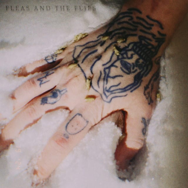 fleas and the flies