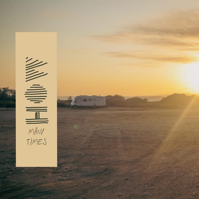 How Many Times - Single