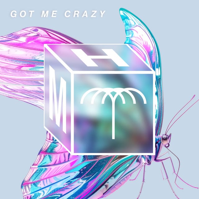 Got Me Crazy - Single