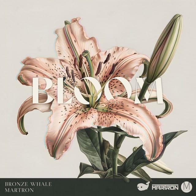 Bloom