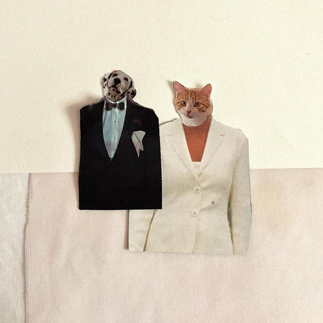 yin to yang - Single