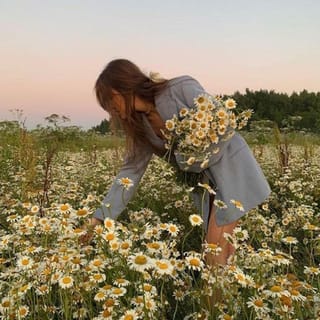 roslyn (sped up)