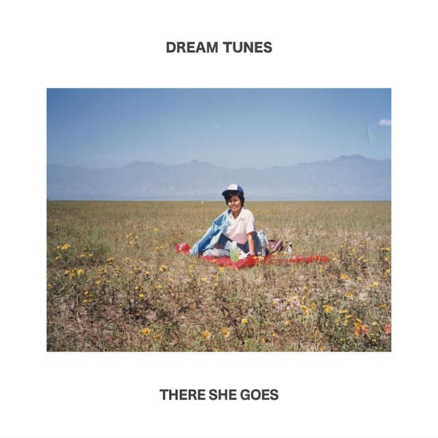 There She Goes - Single