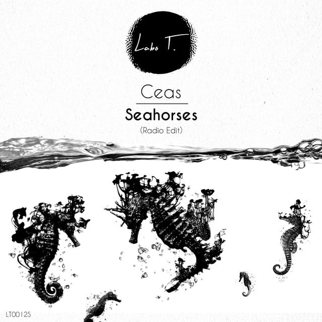 Seahorses - Single