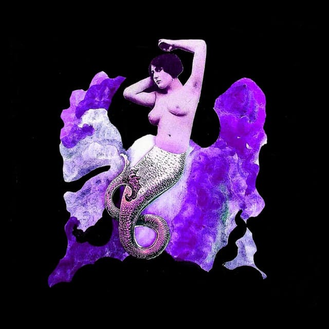 Violeta