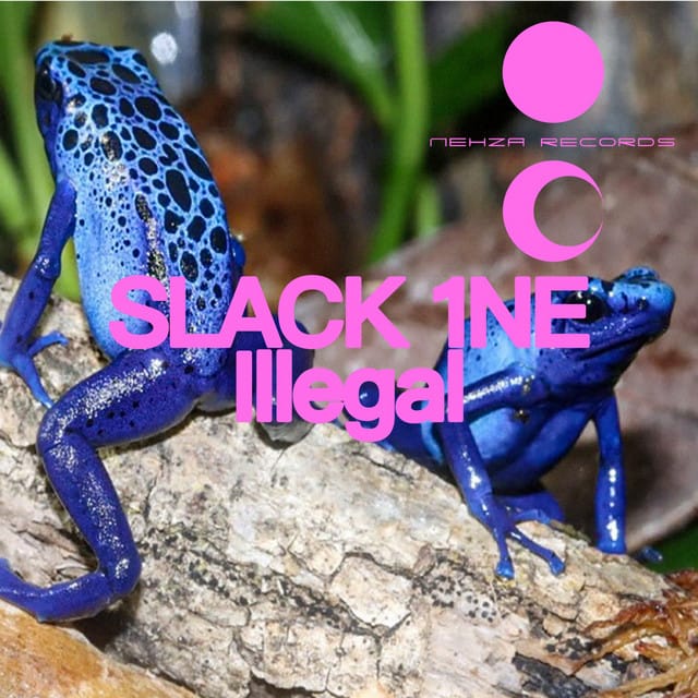 Illegal - Single