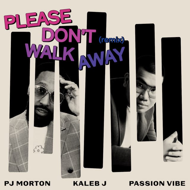 Please Don’t Walk Away (remix)