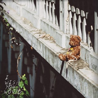 I Wish You Would - Single