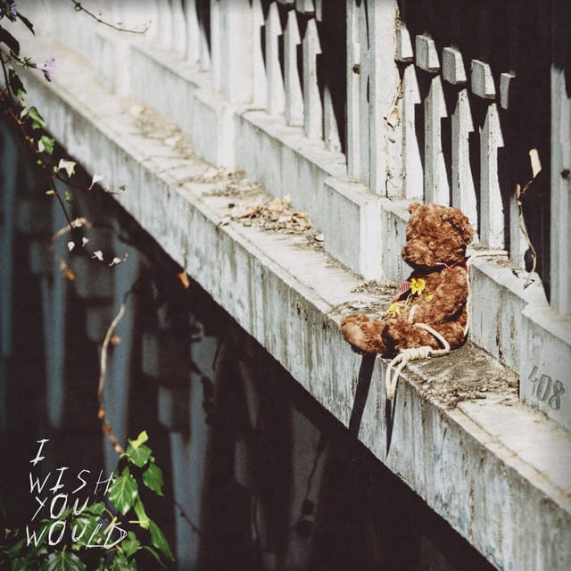 I Wish You Would - Single