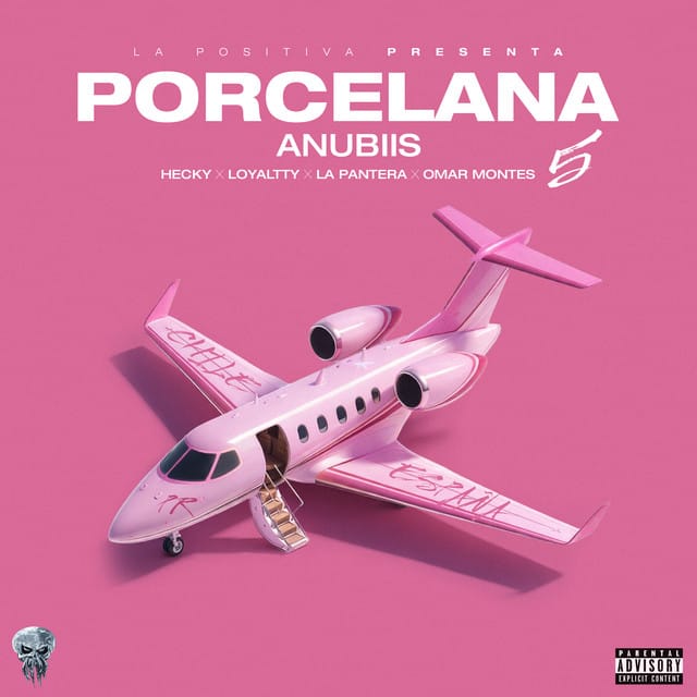 Porcelana 5