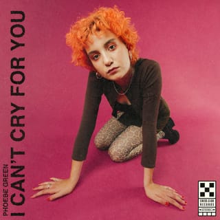 I Can’t Cry for You