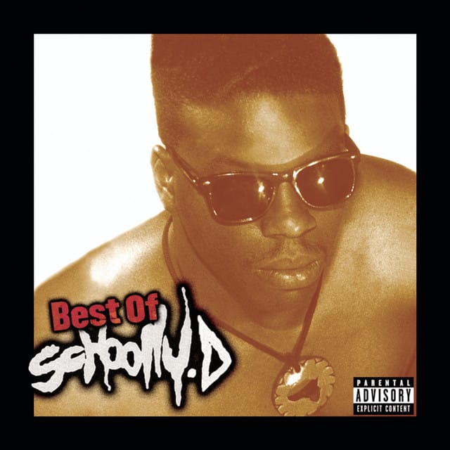 Best Of Schoolly D