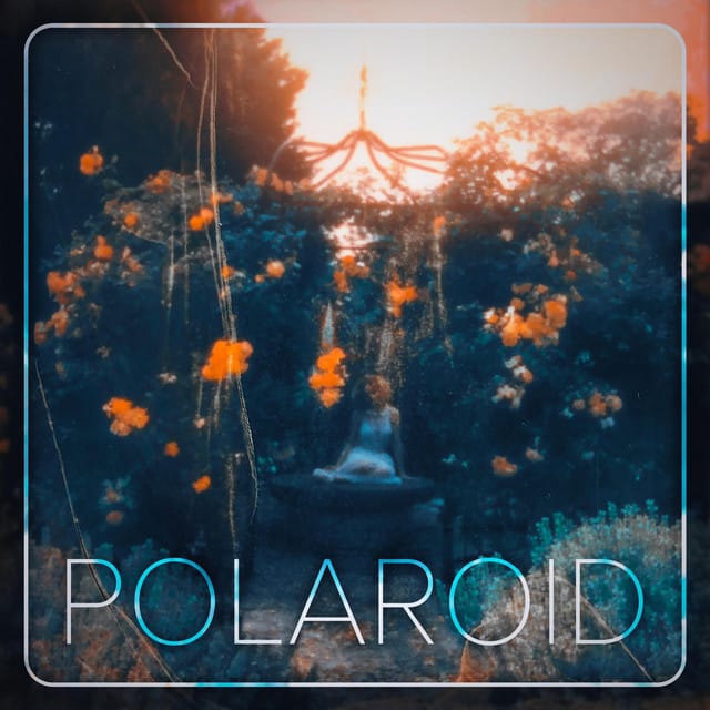 Polaroid - Single