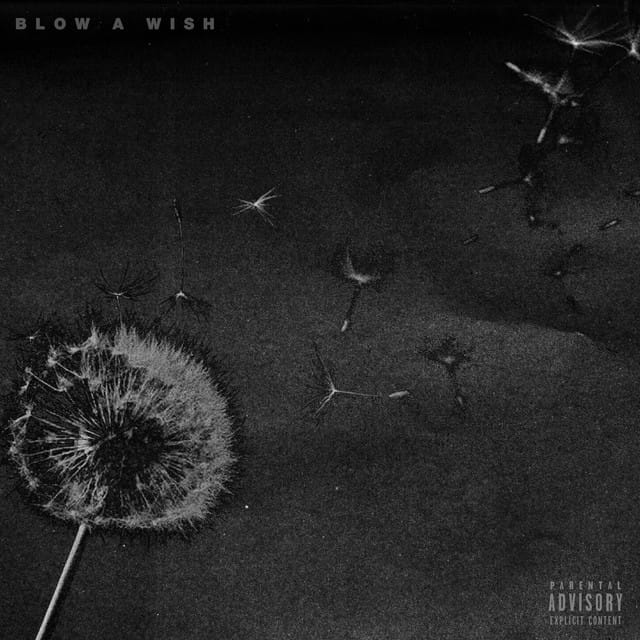 Blow A Wish