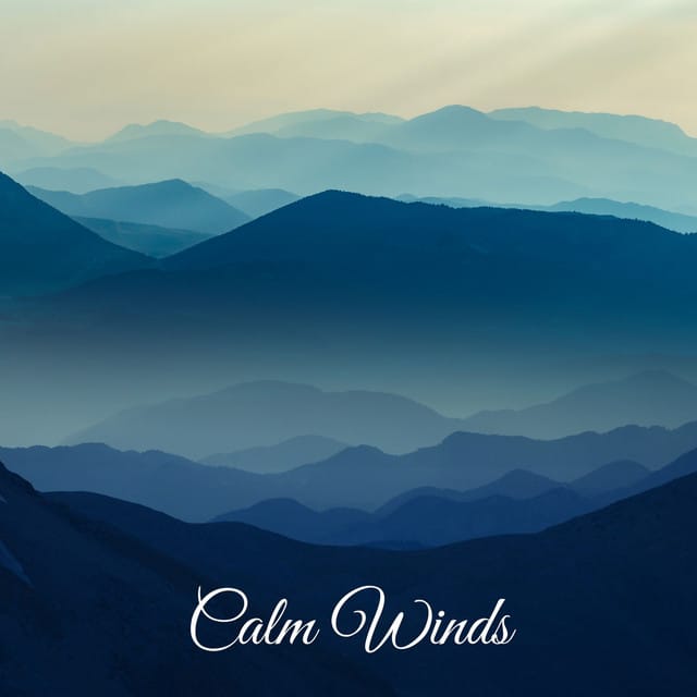 Calm Winds - Single