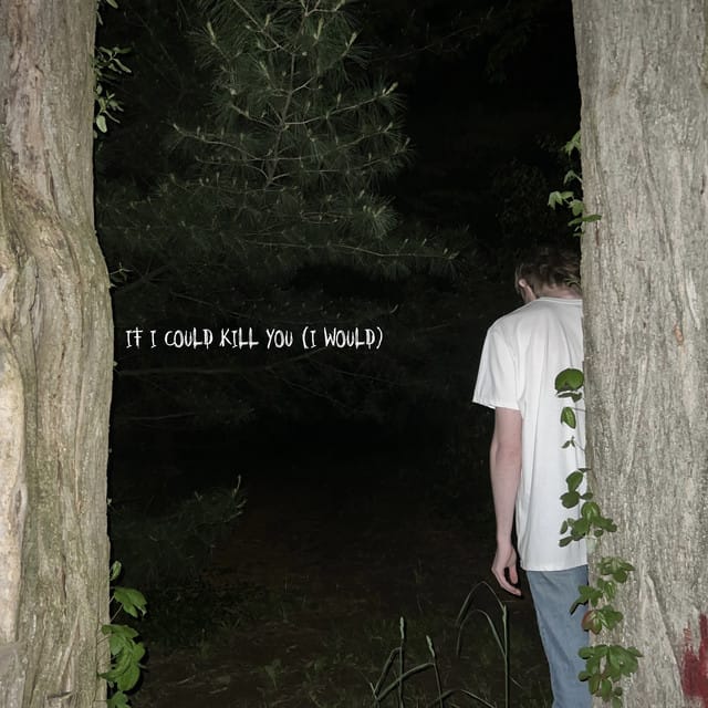 IF I COULD KILL YOU (I WOULD) - EP