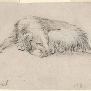 the sound dogs make when they're sleeping