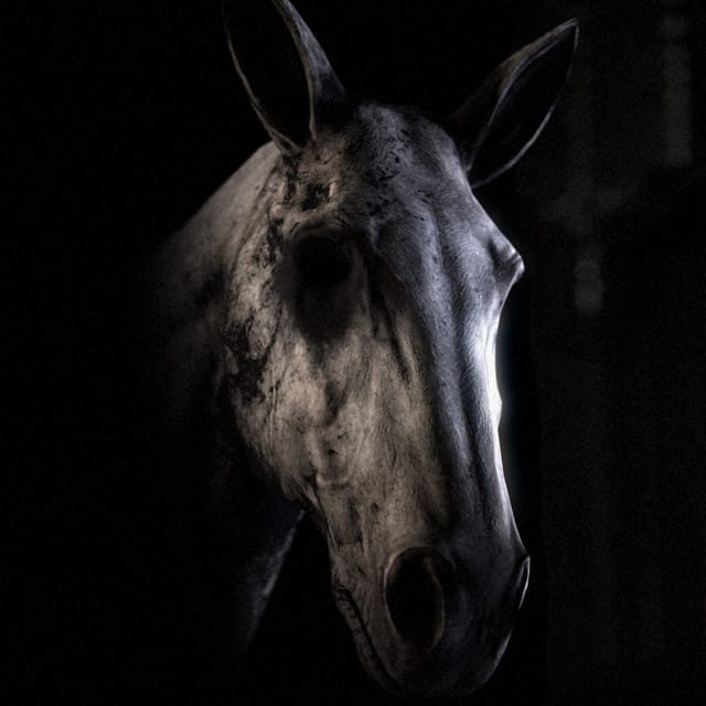 Everybody Needs Someone (feat. Vance Joy)