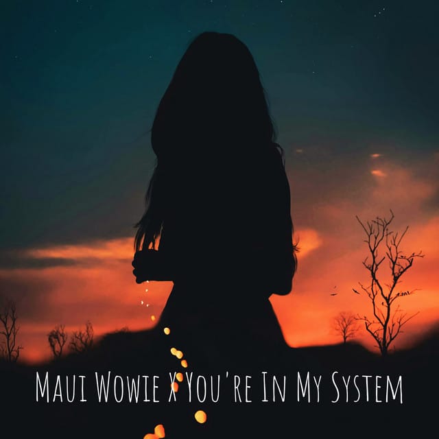Maui Wowie X You're In My System - Single