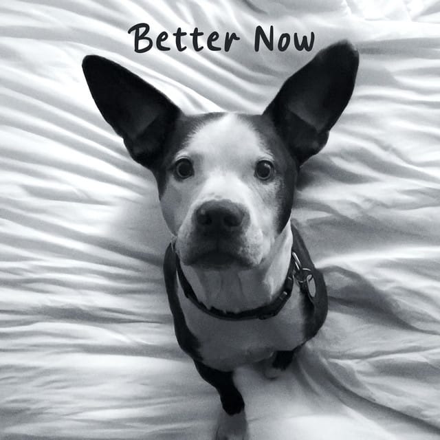 Better Now - Single