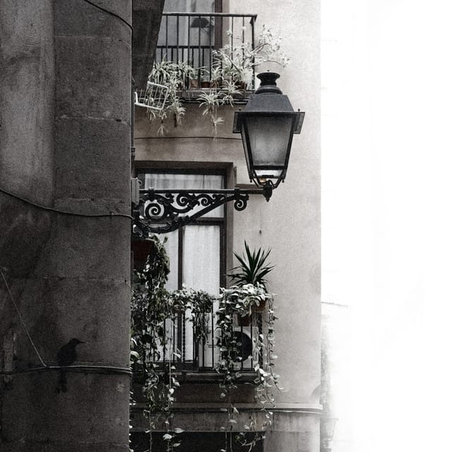 Feelings of Barcelona