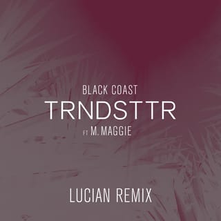 Trndsttr (Lucian Remix)