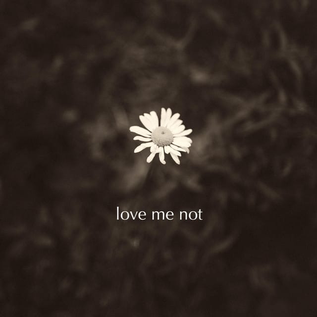 Love Me Not