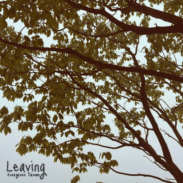 Leaving - Single
