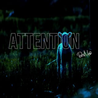 Attention