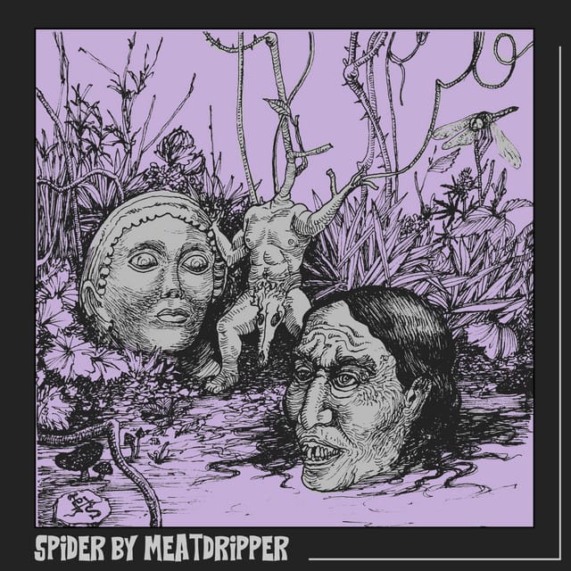 Spider - Single