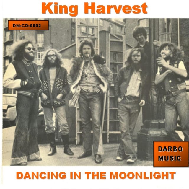 Dancing In the Moonlight - Single