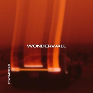 WONDERWALL (TECHNO)