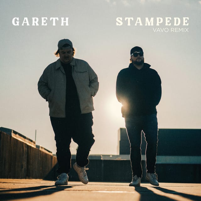 Stampede (VAVO Remix)