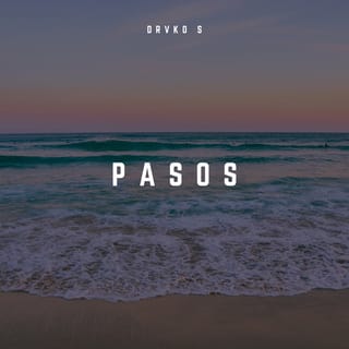 PASOS - Single