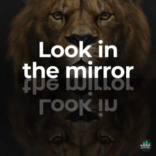 Look in the Mirror - Single