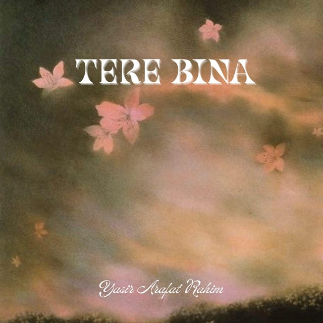 Tere BIna